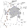 image of Figure 12
